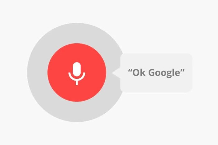 Cara menggunakan ok google